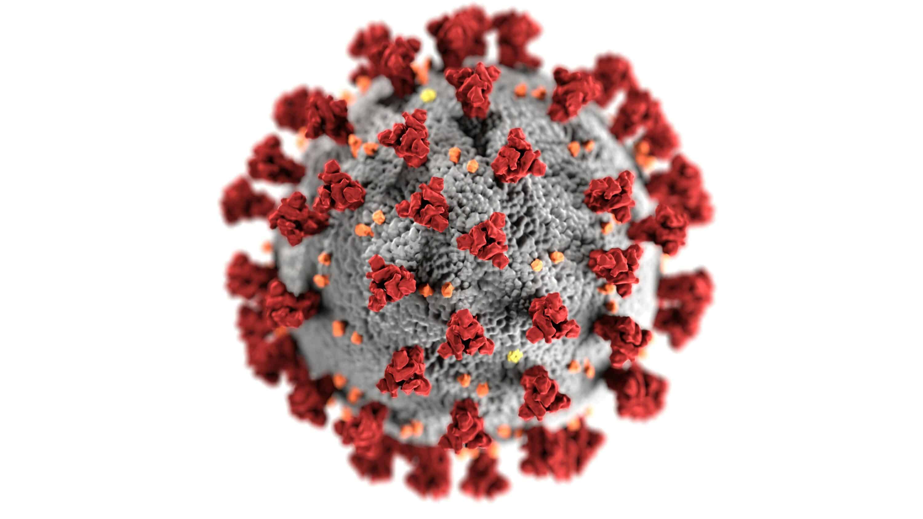 Detailed illustration of the COVID-19 virus, showing its spike proteins and spherical structure