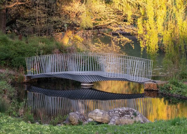 Dino Bridge