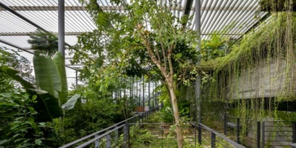The-UKs-First-Biophilic-Living-Scheme